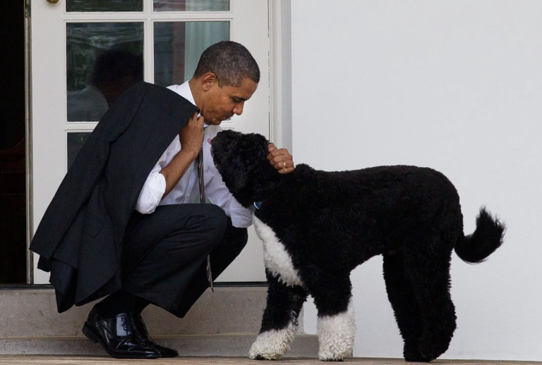 87% of Presidents Had Dogs —But These Six Didn’t! See the Full List of White House Dogs!